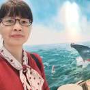 用户头像: