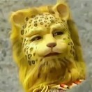 我師焉
