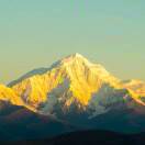 Yuxin的头像-熵减岛