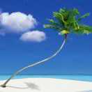 西北新月的头像-义乌朱哈网络科技