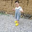 至尊兰府聚万财