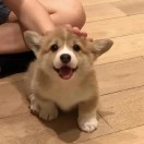 百万积分终结者