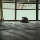 五寸大露臺