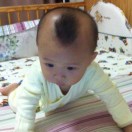 番茄西红柿