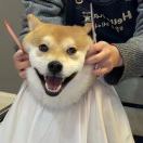 ㅤㅤㅤㅤㅤㅤㅤㅤ8406