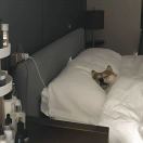 Find House to rent in London