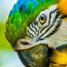 下山去吧！的头像-博士钣金 - www.bsbanjin.com