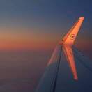 成天