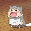 一头不咋耿直の猫