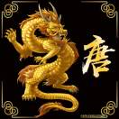 唐世锋1560550050、1