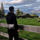 小糊涂神