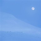伦敦求租