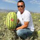 A西瓜🍉虎15769567852