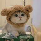 用户29775441的头像-长游分享网