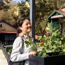 刘彩凤（月池老师）