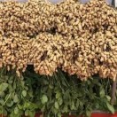 我穷但我很诚信