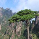 饶晓辉