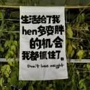 乘物随心