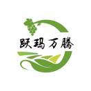 陕西水果供应链《跃玛万腾农业》