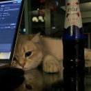 Admin-技术猿资源站