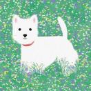 mytc的头像-951博客