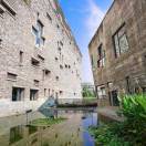 策略创新者施彦如