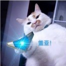 周先生的头像