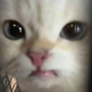 One Manhattan Square转租&房东直租