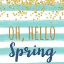 AlphawithAyla的头像-熵减岛