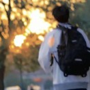 杨斌