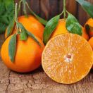 Aa蜀南鲜橘🍊18728880723