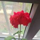 春暖花开