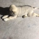 付先生的头像