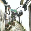 freakJS的头像-日本！日本语