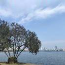 春风的头像-博士钣金 - www.bsbanjin.com