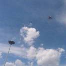 ღ°天空很蓝࿐(心净)