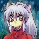 卢健的头像-宋播播带货工作室