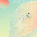 蚊子会夏蝉