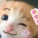 user_w55d7eu0t0gnl4wg member profile picture