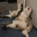 卢熙菲的头像-cg男孩