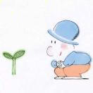Molly花的钢琴谱