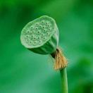 u客直谈实名认证杨博