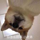風流倜****323...