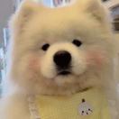 ww122399的头像-小白Blog