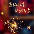 败落