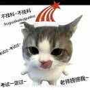 冷血的龙王在扎马步的头像
