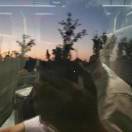 假行僧的头像-秀琴曲谱网