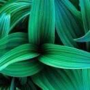 客户服务中心（1209)