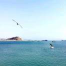 吴浩哲的钢琴谱