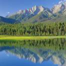 批发瓷砖小凤15